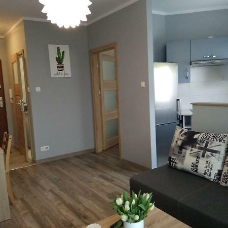 Apartament Edelmana Apartment Gorzów Wielkopolski Exterior foto